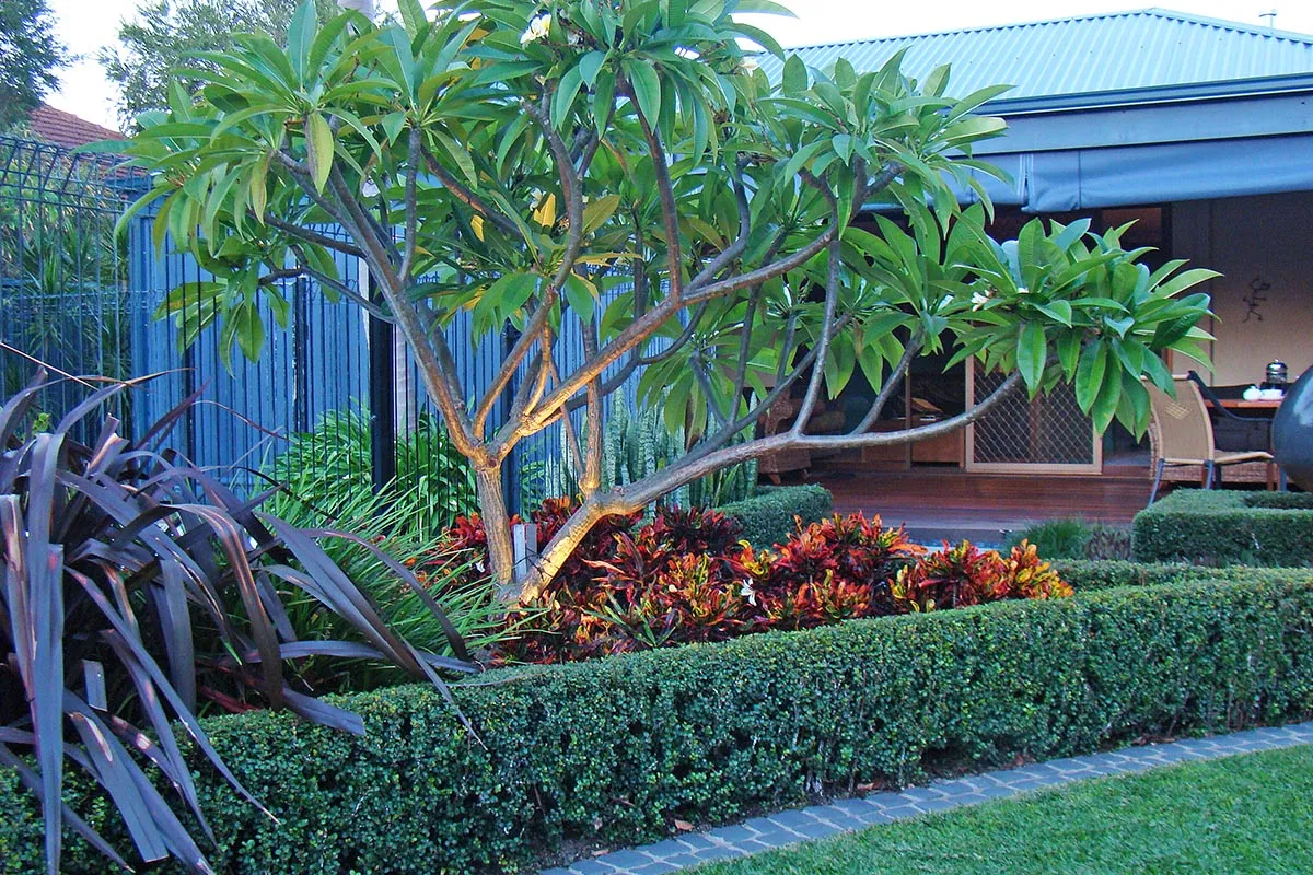 Ardross, WA landscape design by Mondo Landscapes, photo 11
