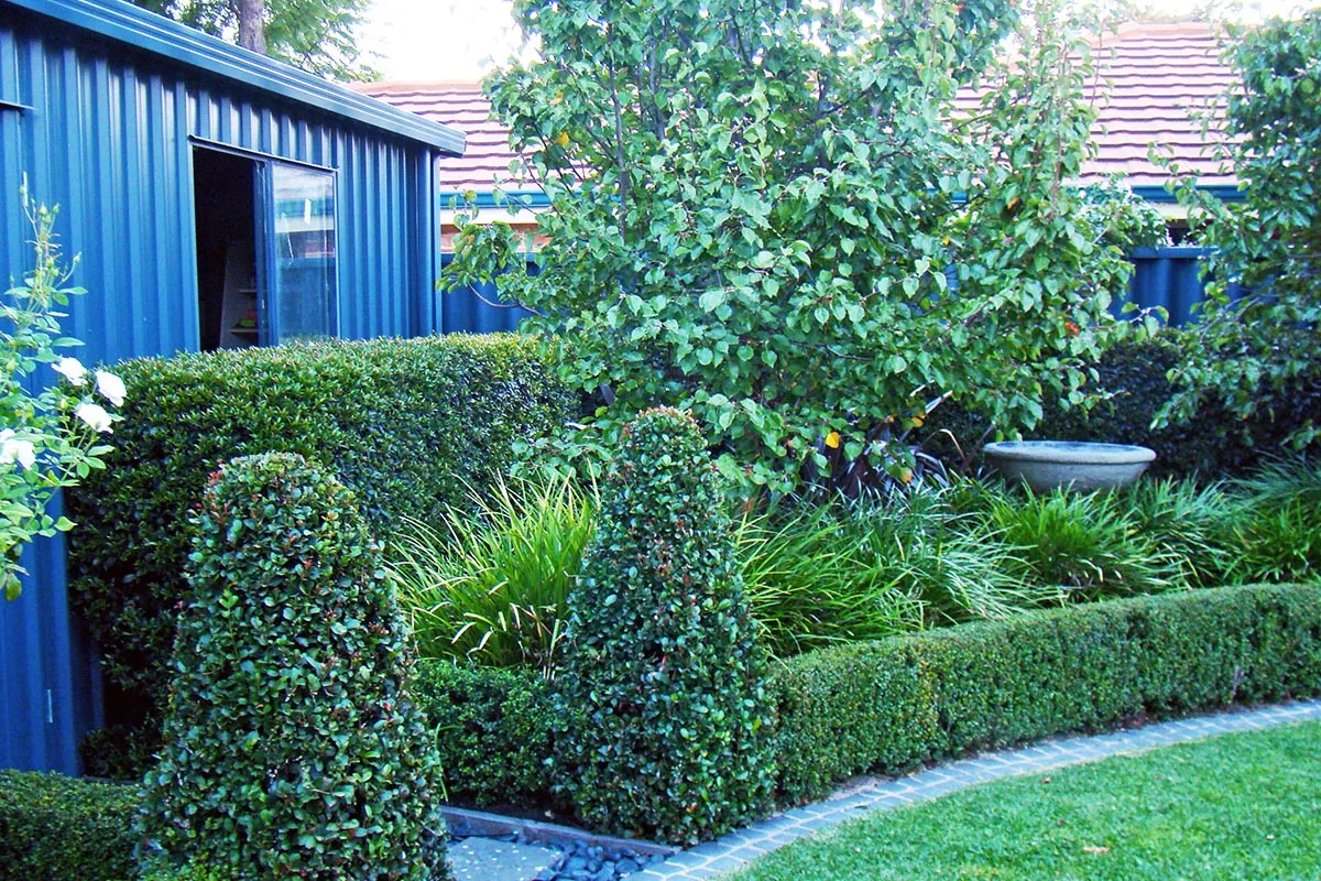 Ardross, WA landscape design by Mondo Landscapes, photo 1