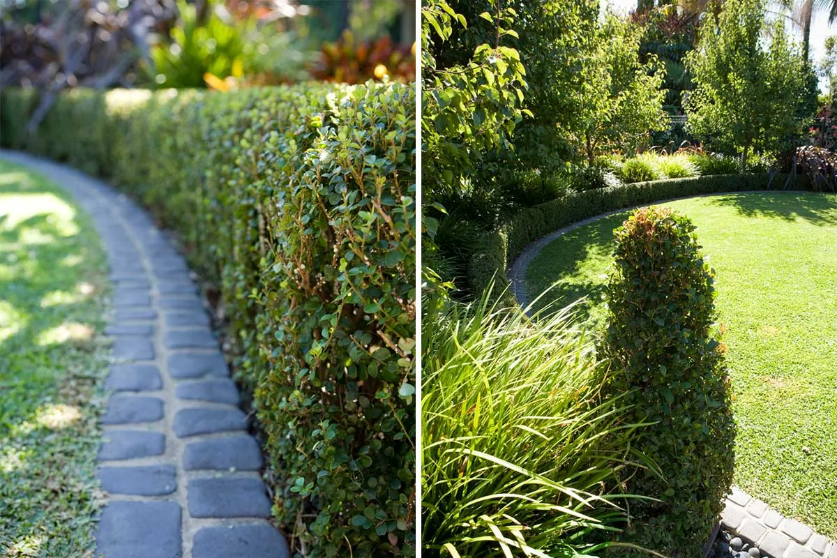 Ardross, WA landscape design by Mondo Landscapes, photo 10