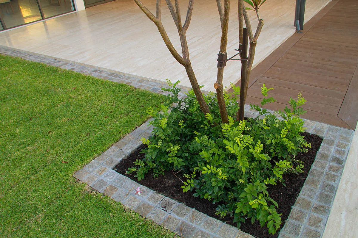 Brentwood, WA landscape design by Mondo Landscapes, photo 16