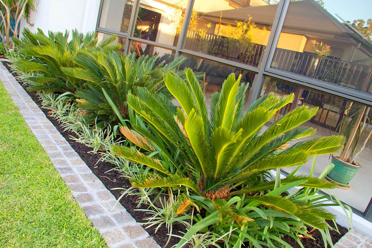Brentwood, WA landscape design by Mondo Landscapes, photo 11