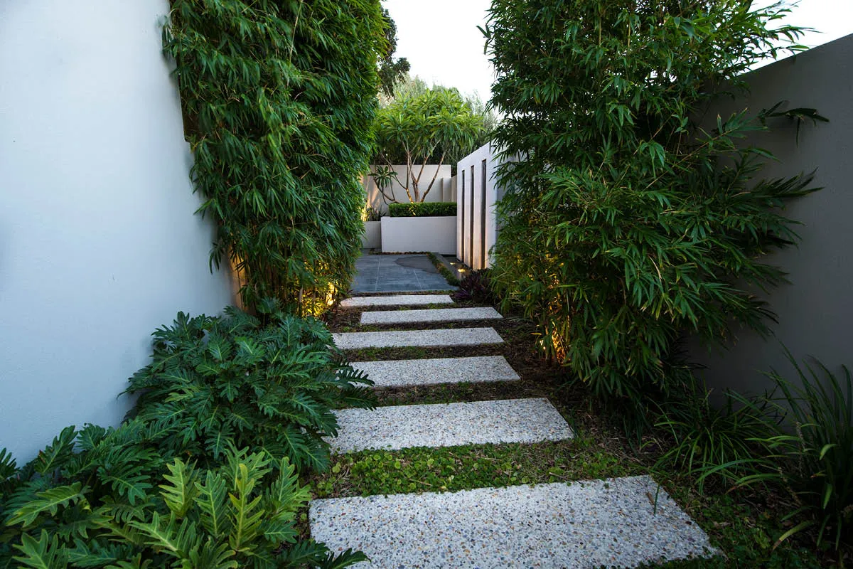 Mount Pleasant, WA landscape design by Mondo Landscapes, photo 12
