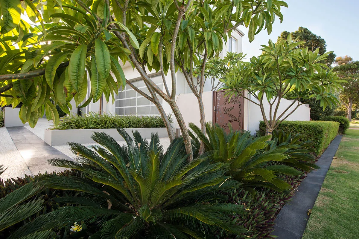 Mount Pleasant, WA landscape design by Mondo Landscapes, photo 2