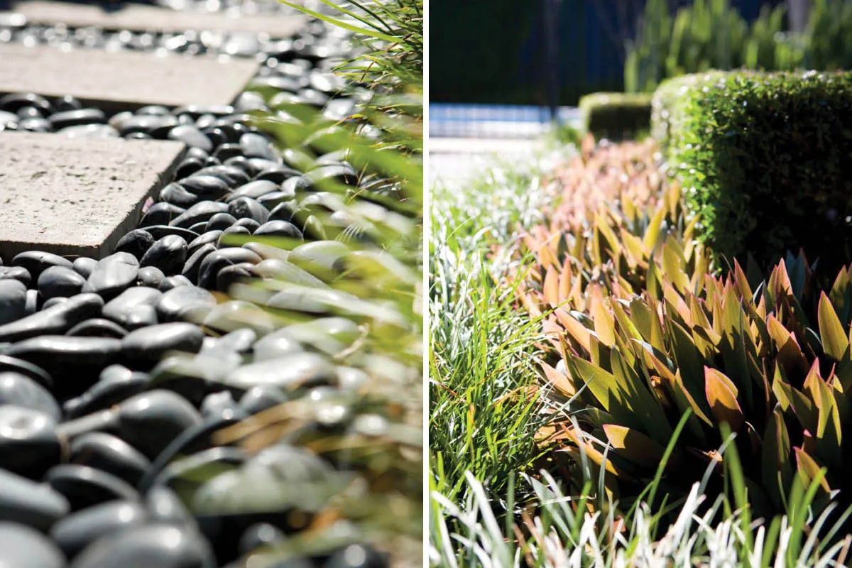 Ardross, WA landscape design by Mondo Landscapes, photo 2