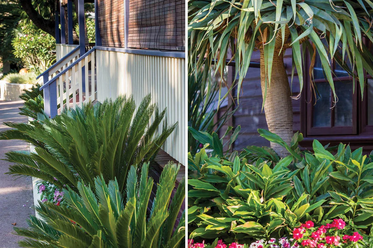 Lesmurdie, WA landscape design by Mondo Landscapes, photo 9