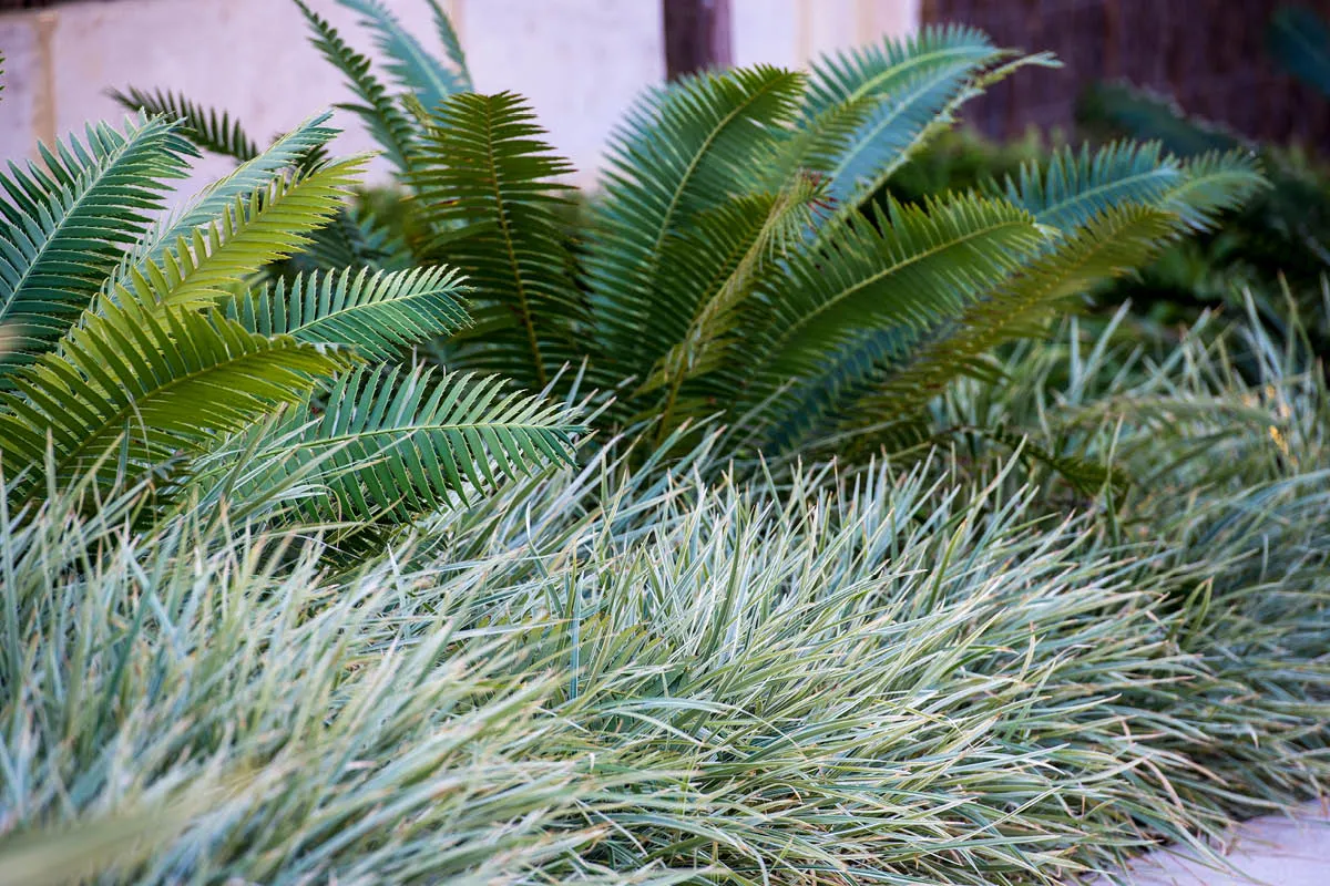 Lesmurdie, WA landscape design by Mondo Landscapes, photo 4