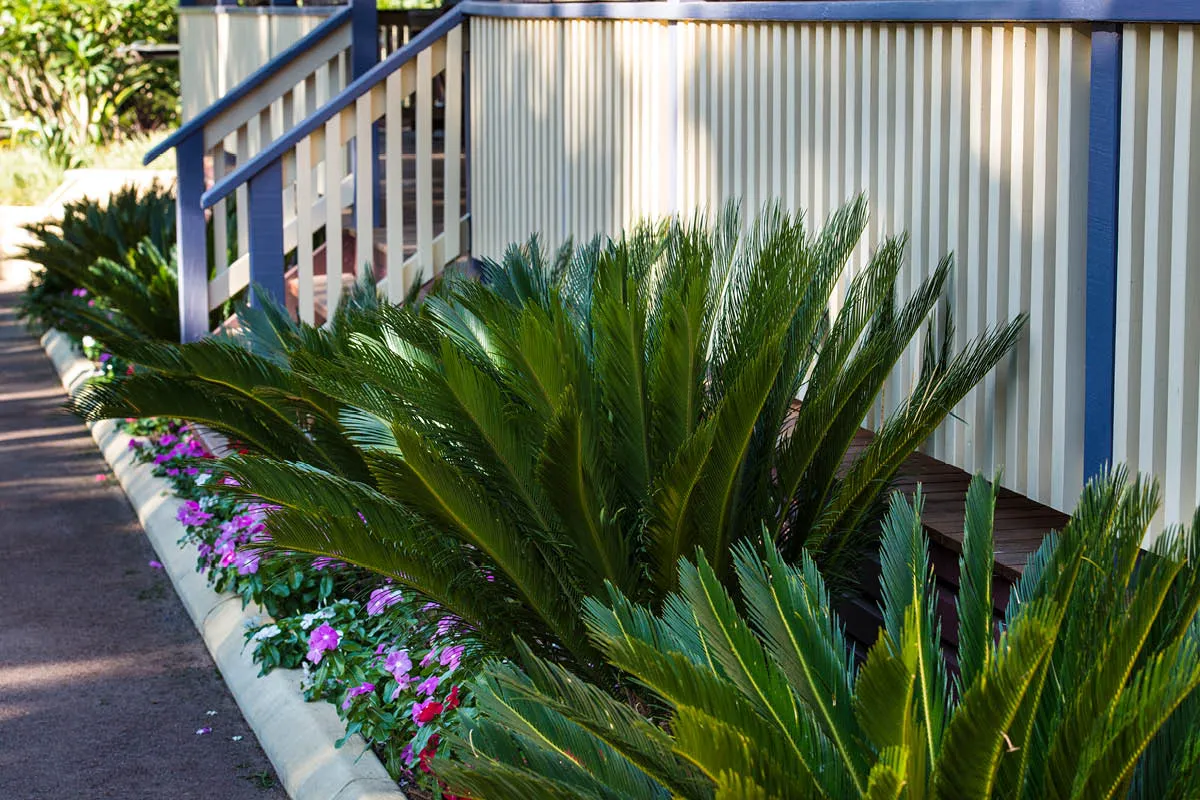 Lesmurdie, WA landscape design by Mondo Landscapes, photo 5