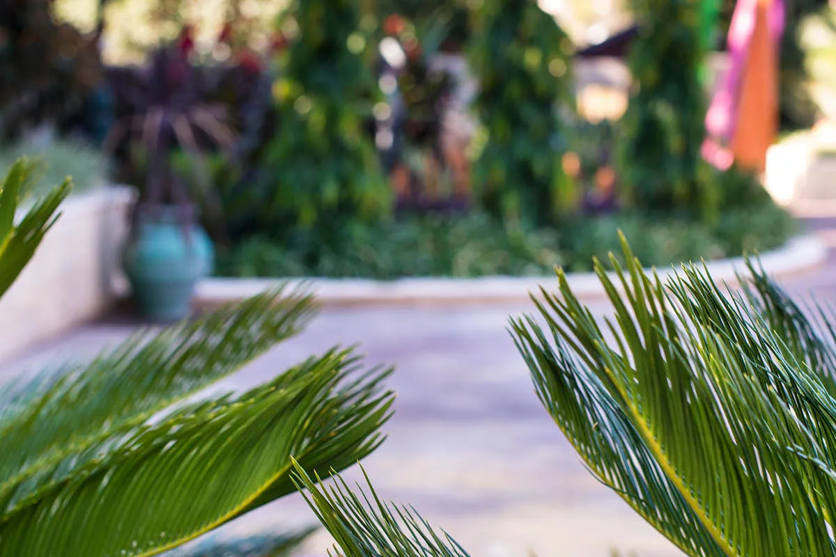 Lesmurdie, WA landscape design by Mondo Landscapes, photo 7