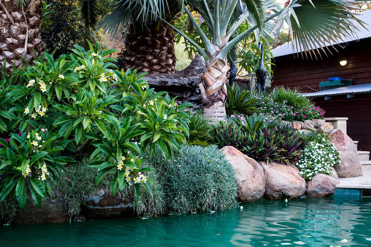 Lesmurdie, WA landscape design by Mondo Landscapes, photo 8