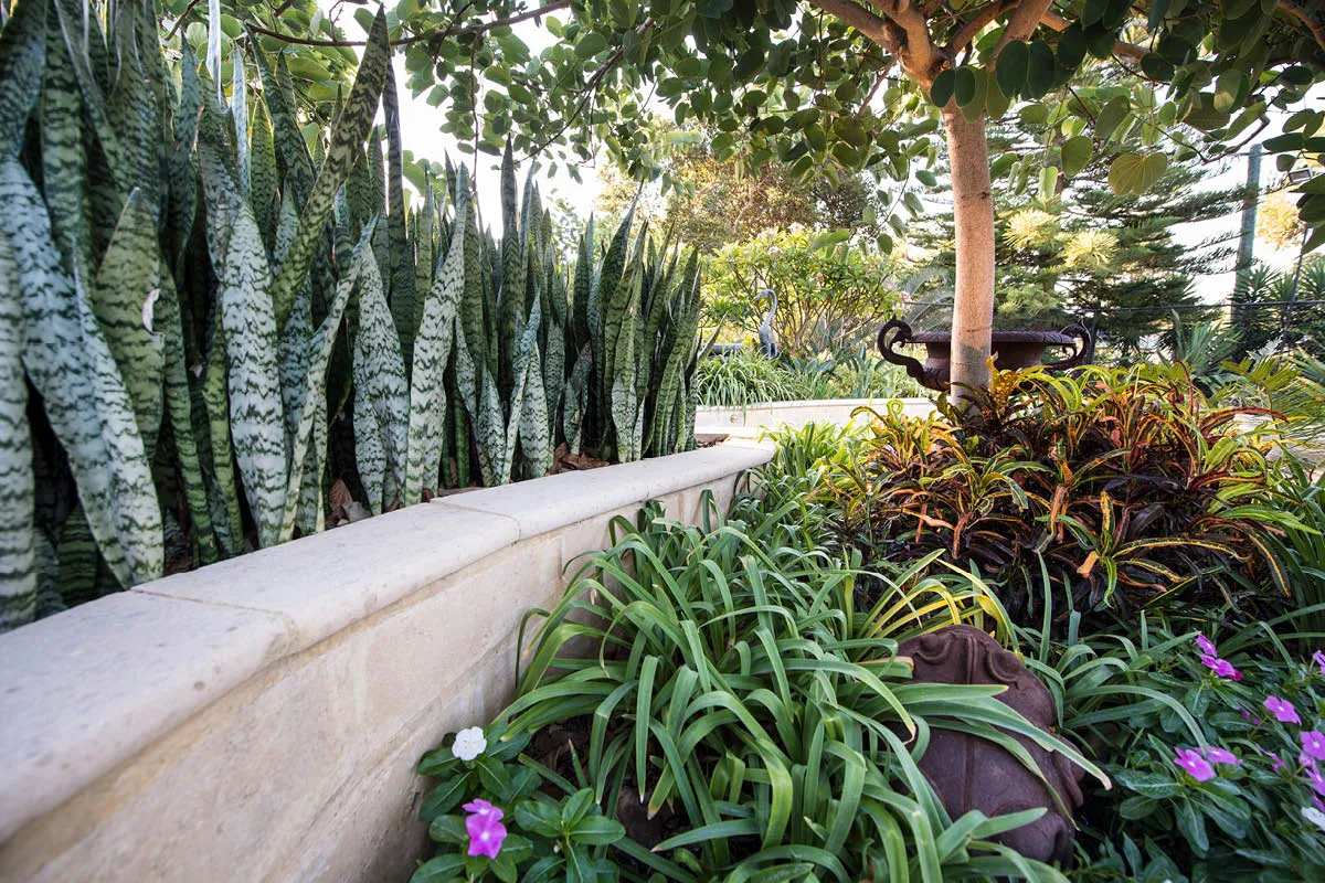 Lesmurdie, WA landscape design by Mondo Landscapes, photo 12
